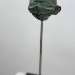 Heyde, Anne von der: Mensch und Maske