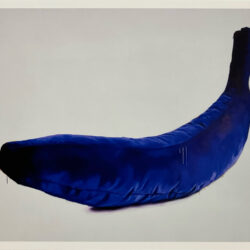Jacob, Jana: Blue Banana