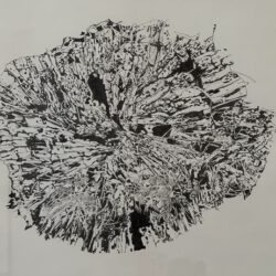 Dingkuhn, Anne: Baumscheibe IV