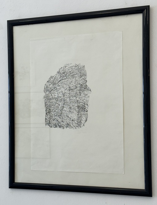 Dingkuhn, Anne: Baumscheibe – Bild 2