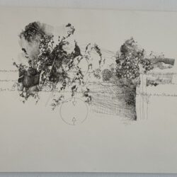Dingkuhn, Anne: Malinge II