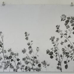 Dingkuhn, Anne: Pappeln I