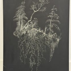 Dingkuhn, Anne: Waldboden