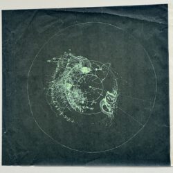Dingkuhn, Anne: Radar IV
