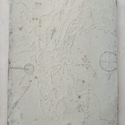 Dingkuhn, Anne: Serie in via VII